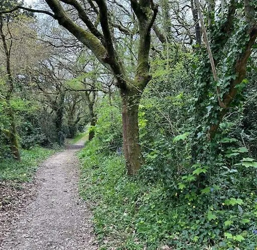 Titanic Netflix Parking שרבורג